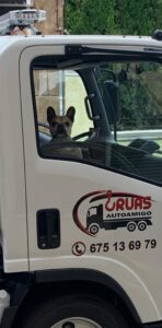 gruas autoamigo